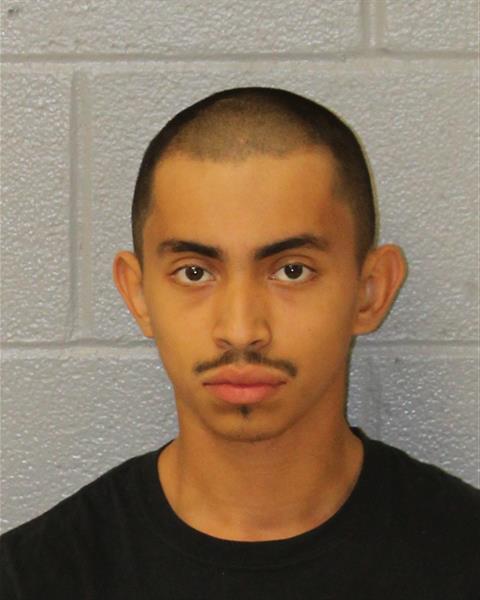 Mugshot of HARVIN JOSE VARGES