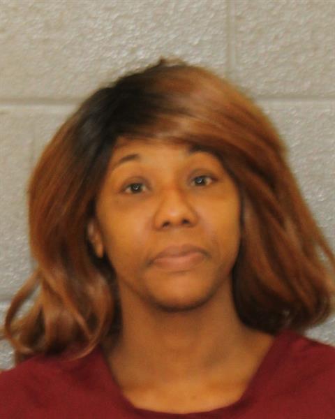 Mugshot of STAR LOVIE ALSTON