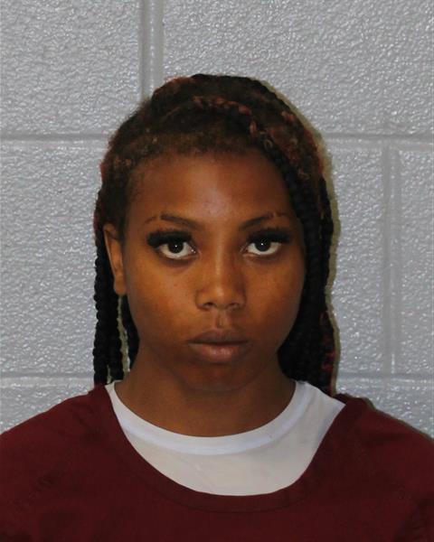 Mugshot of BROOKLYN RICHELLE DRIVER