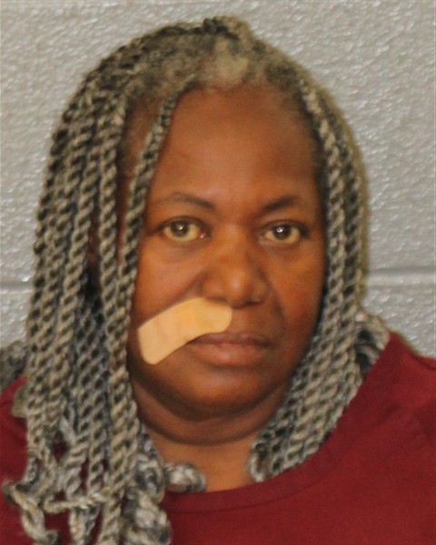 Mugshot of ANGELA CAROLINA FEE