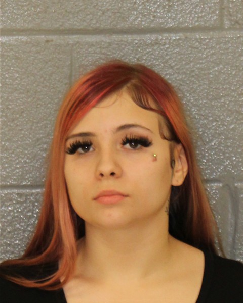 Mugshot of HARLEIGH GRACE PITARRE
