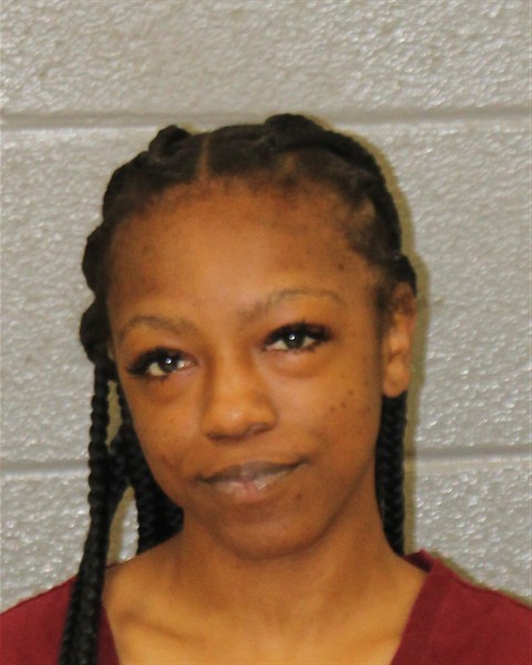 Mugshot of LAURYN DIAMOND HALL