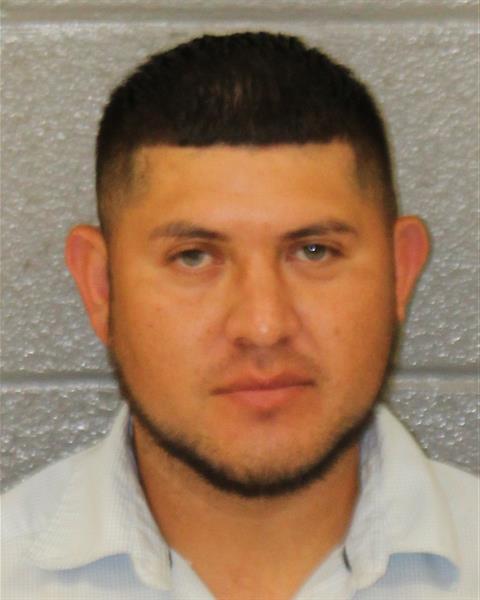 Mugshot of MOISES ORELLANA-GUE...