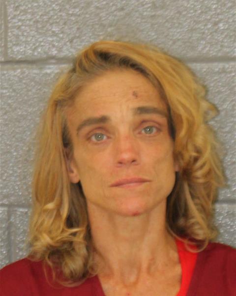Mugshot of SHANNON THERASE LEAVITT