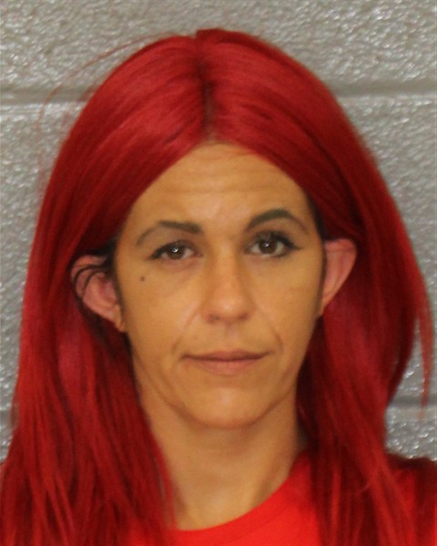 Mugshot of JASMIN DESTINY DJELMANE