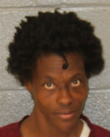 Mugshot of DOMINIQUE LASHAWN LECCO