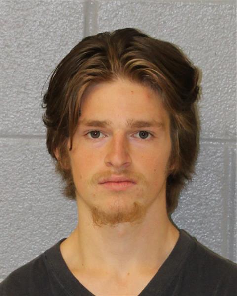 Mugshot of WILLIAM MARKCY MCGINNIS