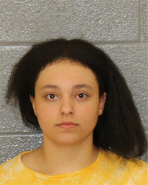 Mugshot of SOMMER RAE HELMS