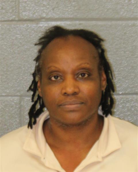 Mugshot of ERICA LOUISE CARLTON