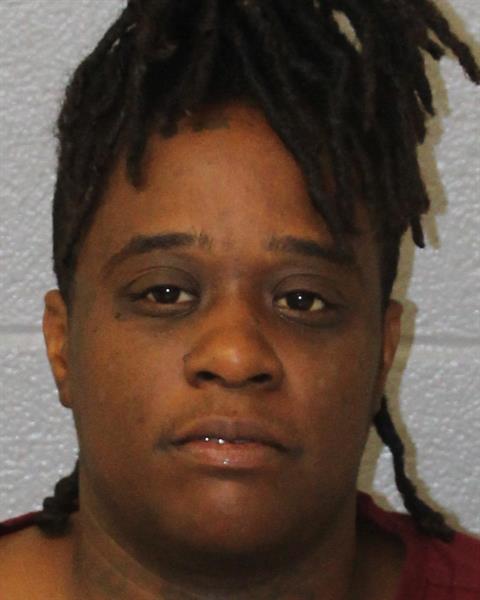 Mugshot of ROSELYN NOELLE DARBY