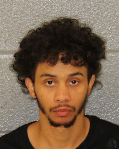 Mugshot of SAVINIC DALA PAZ ROMERO