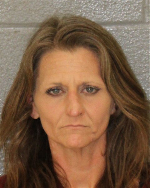 Mugshot of ALISON PAIGE FOSTER
