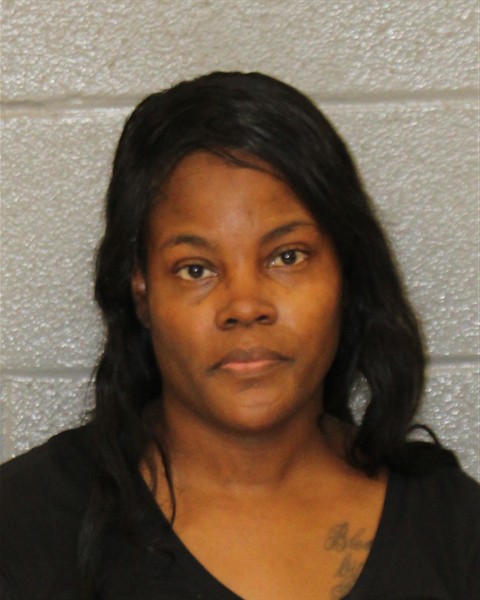 Mugshot of ERICA SHRITA MITCHELL