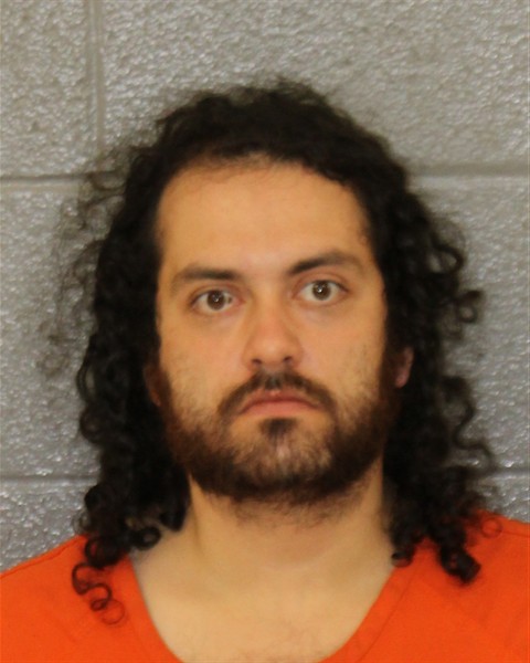 Mugshot of NICHOLAS GOLDSTEIN