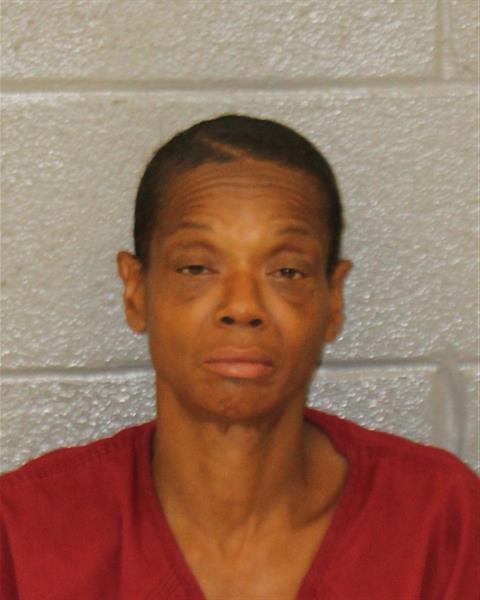 Mugshot of MARYANNE SHANTELL COLLINS