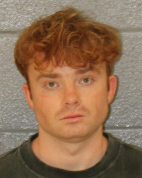 Mugshot of DENISS ASHER ARMIJO