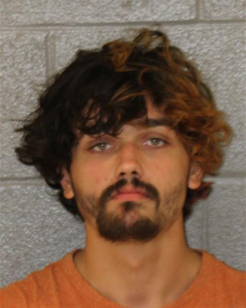 Mugshot of MICHAEL ANDY ALLISON
