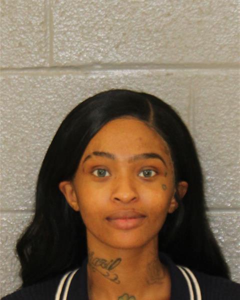 Mugshot of BRITTANY LENISE BRANCH