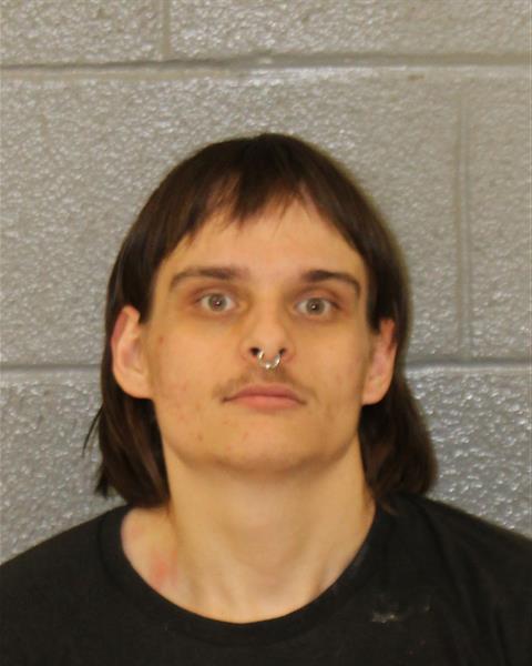 Mugshot of JULIAN BURLY-GALAN SMITH