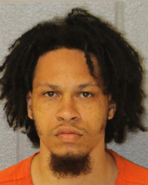 Mugshot of CHEA TERRELL JOHNSON