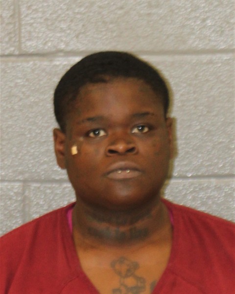 Mugshot of KRISTIN CHANELLE CALLAHAN