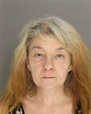 Mugshot of NICOLE ANN PROWSE