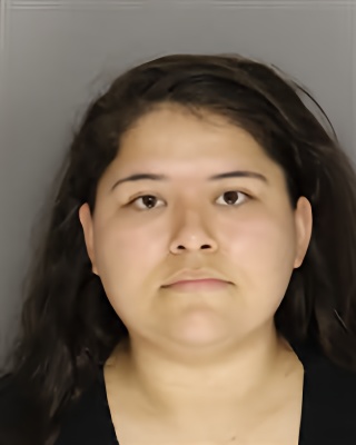 Mugshot of BRISAYDA GARCIA
