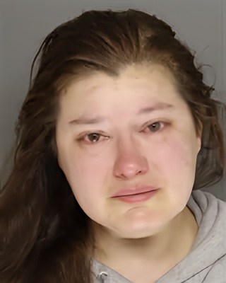 Mugshot of JAMIE LEE HARDIN
