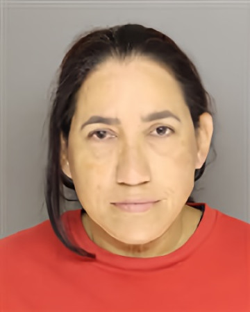 Mugshot of ROMELIS DEL VALLE QUIJADA QUIJADA