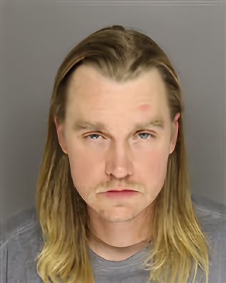 Mugshot of RYAN JOSEPH MILLIGAN