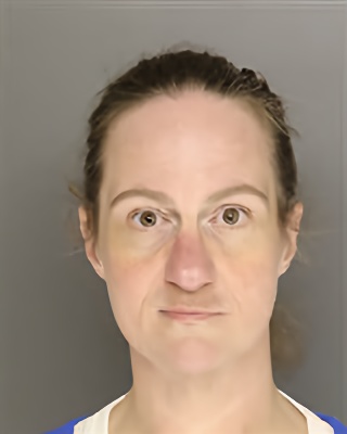 Mugshot of LAURA NICOLE MCLEAN