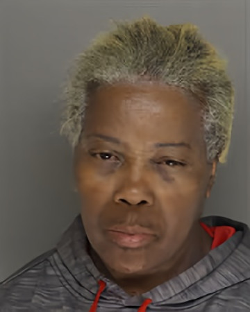 Mugshot of JACKOLINE DENISE STURDIVANT