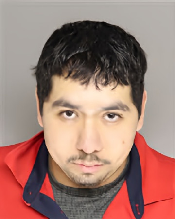 Mugshot of PAULINO DELGADO VARGAS