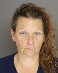 Mugshot of LISA MARIE PARKER