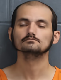 Mugshot of DONOVAN BRANDENBURG