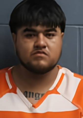 Mugshot of LUIS PESINA