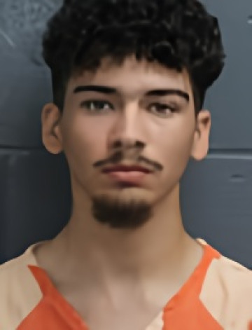 Mugshot of BROGAN WILLIAM DODSON