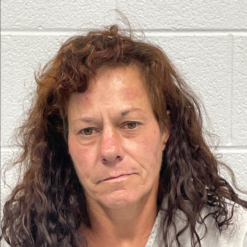 Mugshot of Tammy Tennille Anderson