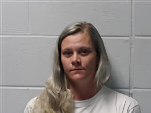 Mugshot of Brittany Nicole Taylor