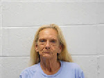 Mugshot of Janice Chapman Fisher