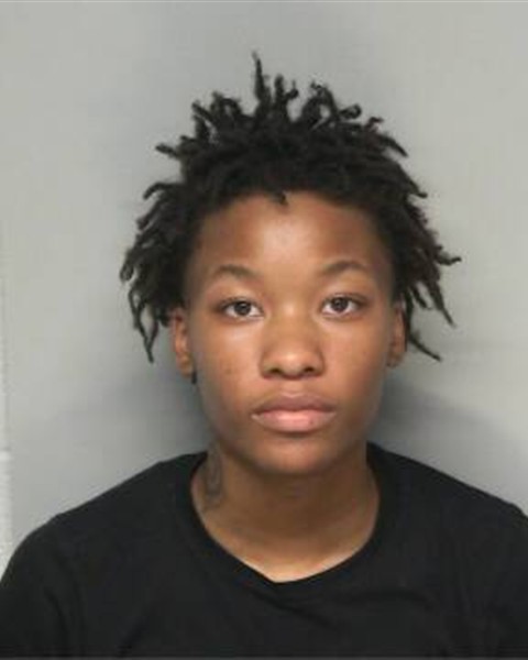 Mugshot of PATIENCE TIERALE CUMMINGS