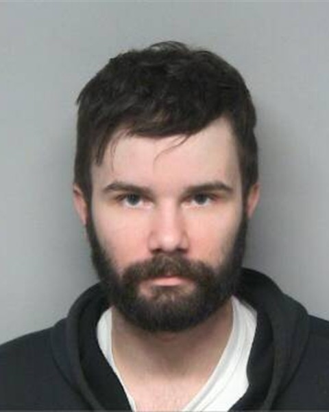 Mugshot of LOGAN RYAN BRAY