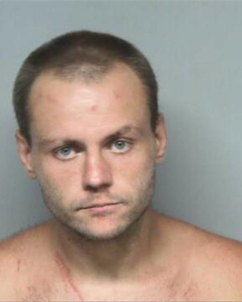Mugshot of JONATHAN GAGE LAPRAD