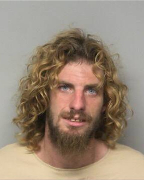 Mugshot of WILLIAM HUNTER GOODWIN