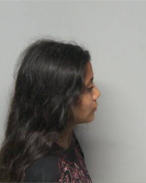 Mugshot of DIANELIS ARIANA GONZALES-GALAN