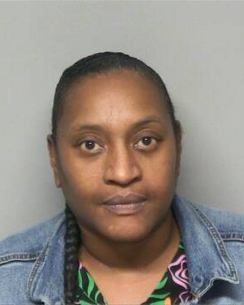 Mugshot of MERITA ELIZABETH HALL