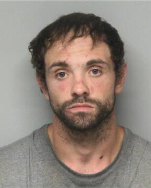 Mugshot of ALEX RYAN PRESNELL