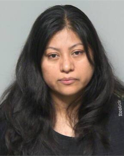 Mugshot of HERMELINDA CUELLAR CASTILLO
