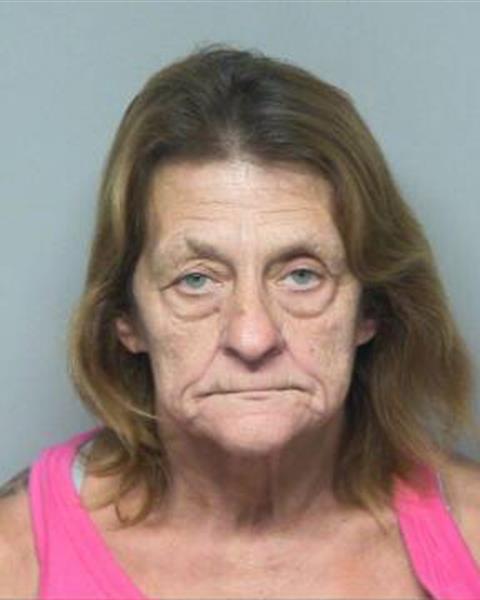 Mugshot of ROBIN MILLS LACKEY