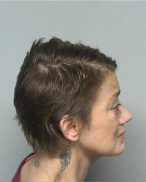 Mugshot of JANICE ANNE BUNCY